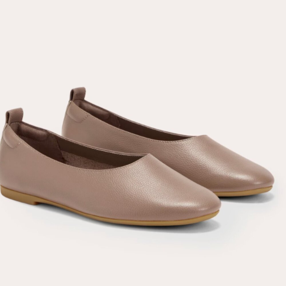 Italian Leather Everlane Dayglove Flat in Mocha 7 w/ Box